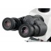 Микроскоп цифровой Levenhuk MED D40T, тринокулярный