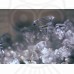 Микроскоп стереоскопический Bresser Erudit ICD 20x/40x