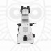 Микроскоп биологический Микромед 2 (2 LED inf.)