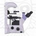Микроскоп биологический инвертированный MAGUS Bio V350