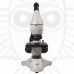 Микроскоп Levenhuk Rainbow D50L PLUS, 1,3 Мпикс