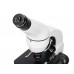 Микроскоп Levenhuk Rainbow D50L PLUS, 2 Мпикс, MoonstoneЛунный камень