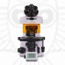 Микроскоп люминесцентный MAGUS Lum 450L