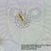 Микроскоп Bresser Researcher Trino