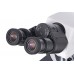 Микроскоп Levenhuk MED 40B, бинокулярный