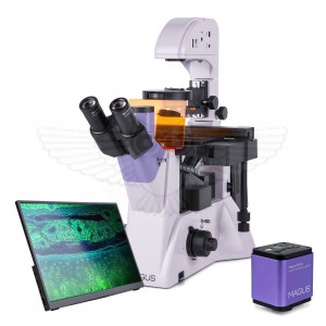 Микроскоп люминесцентный инвертированный цифровой MAGUS Lum VD500 LCD
