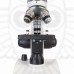 Микроскоп цифровой Levenhuk Discovery Femto Polar с книгой
