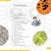 Микроскоп Levenhuk Discovery Pico с книгой