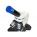 Микроскоп цифровой Levenhuk Discovery Femto Polar с книгой