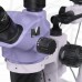 Микроскоп стереоскопический цифровой MAGUS Stereo D8TR для ремонта и пайки
