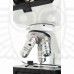 Микроскоп Celestron LABS CB2000CF, бинокулярный