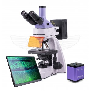 Микроскоп люминесцентный цифровой MAGUS Lum D400 LCD