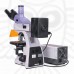 Микроскоп люминесцентный цифровой MAGUS Lum D400 LCD