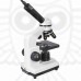 Микроскоп Levenhuk Rainbow D2L, 0,3 Мпикс, MoonstoneЛунный камень