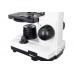 Микроскоп Levenhuk Rainbow D2L, 0,3 Мпикс, MoonstoneЛунный камень