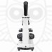 Микроскоп Levenhuk Rainbow D2L, 0,3 Мпикс, MoonstoneЛунный камень