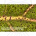 Микроскоп Bresser Advance ICD 10x–160x