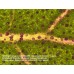 Микроскоп Bresser Advance ICD 10x–160x