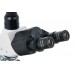 Микроскоп цифровой Levenhuk D900T, 5,1 Мпикс, тринокулярный Микроскоп цифровой Levenhuk D900T, 5,1 Мпикс, тринокулярный