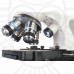 Микроскоп Levenhuk Discovery Atto Polar с книгой