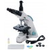 Микроскоп цифровой Levenhuk D900T, 5,1 Мпикс, тринокулярный Микроскоп цифровой Levenhuk D900T, 5,1 Мпикс, тринокулярный