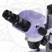 Микроскоп стереоскопический MAGUS Stereo 7B