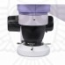 Микроскоп стереоскопический цифровой MAGUS Stereo D7TR для ремонта и пайки