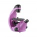 Микроскоп школьный Микромед Эврика 40х-320х инвертированный (аметист)