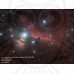 Труба оптическая Celestron RASA 8