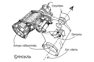 Основные параметры биноклей